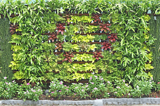 istock Plant and flower as backdrop in the park 535627483
