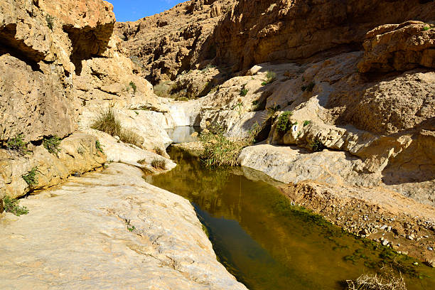 istock Nahal Zafit in Negev desert. 535631211