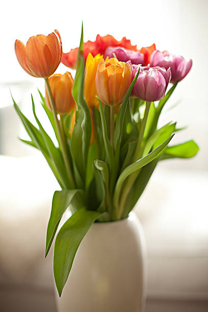 istock Hotel tulips bouquet 535631691