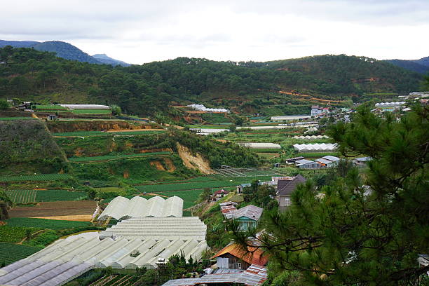 istock High view of the house in forest 535632871