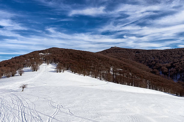 istock Mountain scenery in Vigla, Florina's ski center, Greece 535633087