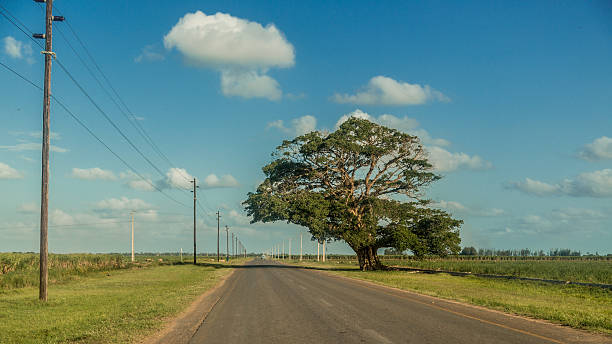 Country road stock photo