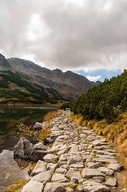 Photo of Path by the Lake