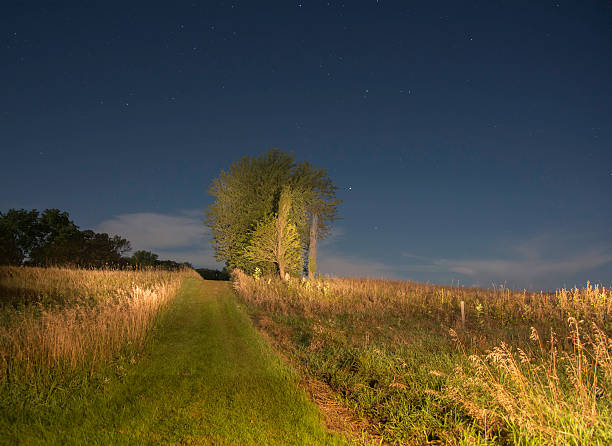 istock Nature Trail in Iowa 535671861