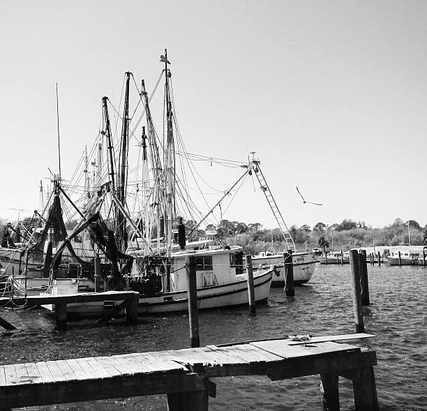 istock Shrimp Boat Line Up B&W 535677825