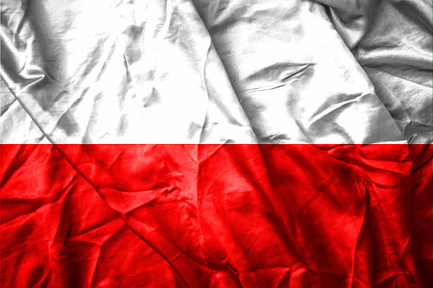 istock Flag of poland 535679399