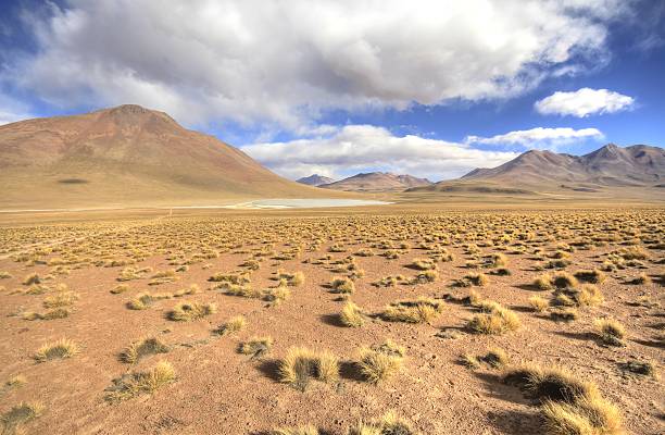 istock Eduardo Alveroa, Uyuni Bolivia 535679497