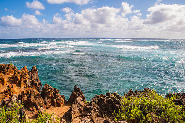 火山カウアイ島の南海岸 - mahaulepu beach ストックフォトと画像