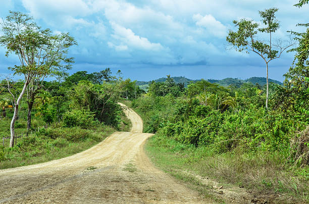 Dirt road in the southern Belize interior.