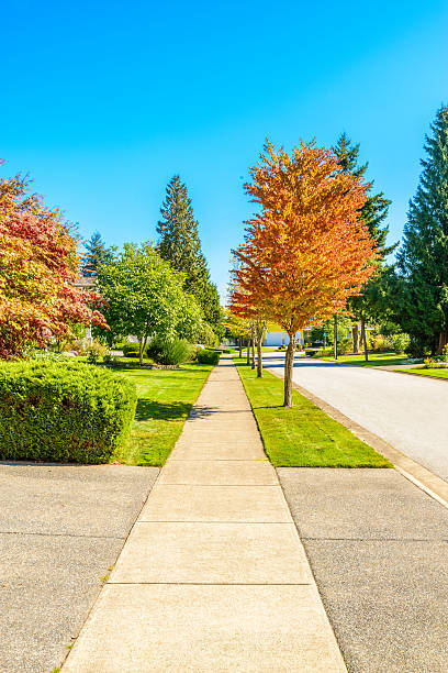 istock Perfect Neighbourhood 535693717