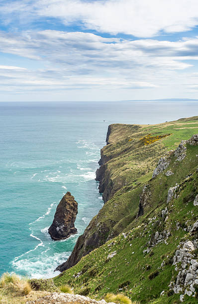 istock Otago Peninsula Beautiful Coastline 535693731