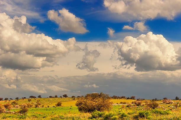 RURAL LANDSCAPE SPRING. Alta Murgia National Park: clouds symmetric.-(Apulia) ITALY- RURAL LANDSCAPE SPRING. Alta Murgia National Park: clouds symmetric.-(Apulia) ITALY-. murge photos stock pictures, royalty-free photos & images