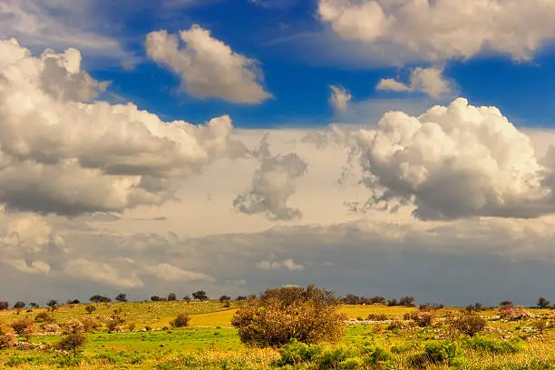 RURAL LANDSCAPE SPRING. Alta Murgia National Park: clouds symmetric.-(Apulia) ITALY-.