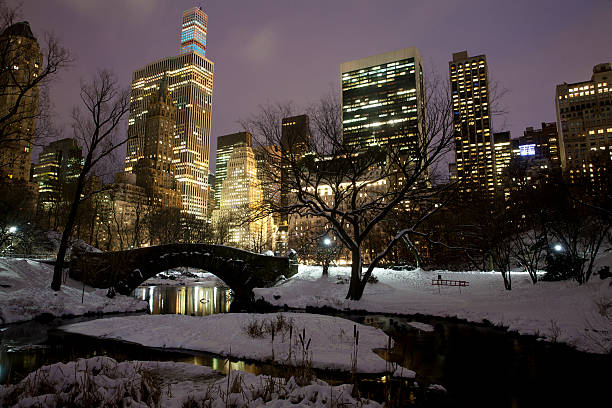istock Central park in New York City 535696169