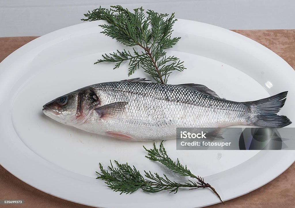 Fish, Fresh catch Fresh catch of fish and other seafood 2015 Stock Photo