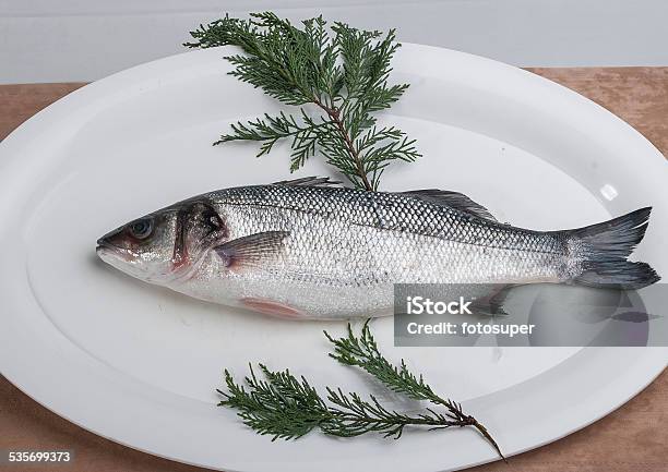 Fish Fresh Catch Stock Photo - Download Image Now - 2015, Catch of Fish, Close-up