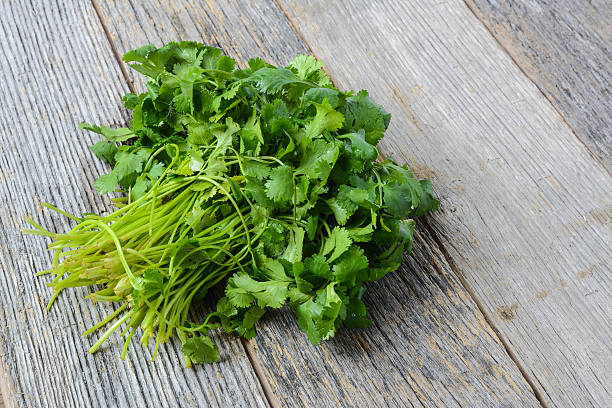 istock Cilantro on Wooden Background 535700717