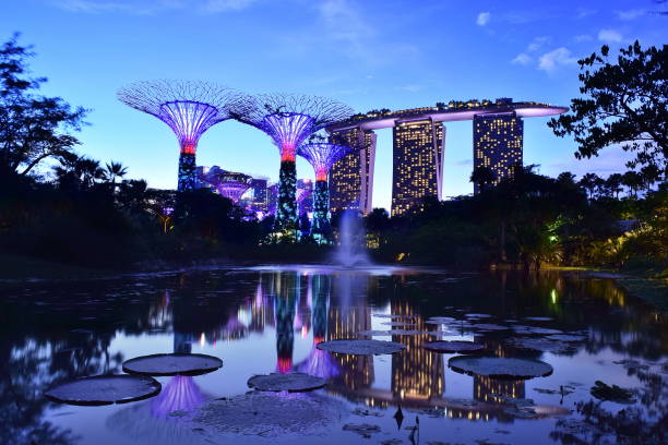singapour - gardens by the bay photos et images de collection