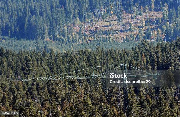 Canopy Research Crane Stock Photo - Download Image Now - Mt Stevenson, Washington State, 2015