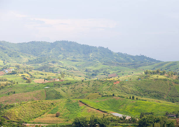 istock Agricultural areas in the mountains 535704001