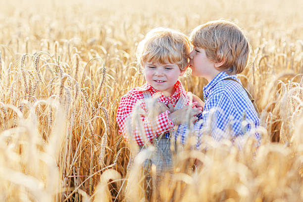 istock Two little sibling boys having fun in wheat field 535705465