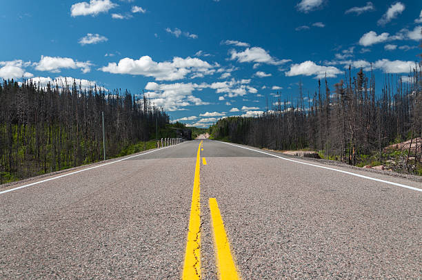 istock Nature of Ontario 535715581