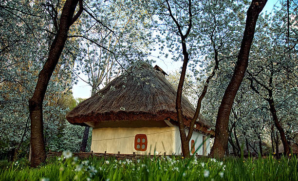 istock Ukrainian village in the spring 535716135