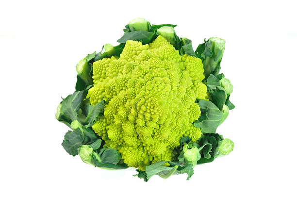 istock Romanesco broccoli is a type of cauliflower 535716605