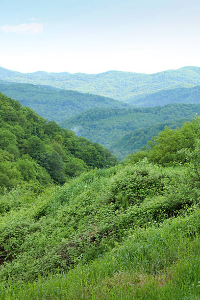 山 ridges - great smoky mountains national park great smoky mountains asheville sunrise ストックフォトと画像