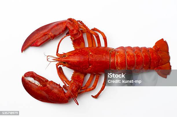 Boiled Lobster Stock Photo - Download Image Now - Lobster - Seafood, White Background, Cut Out