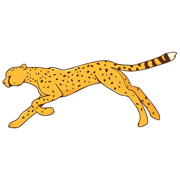 Vector illustration of Illustration of cheetah in motion