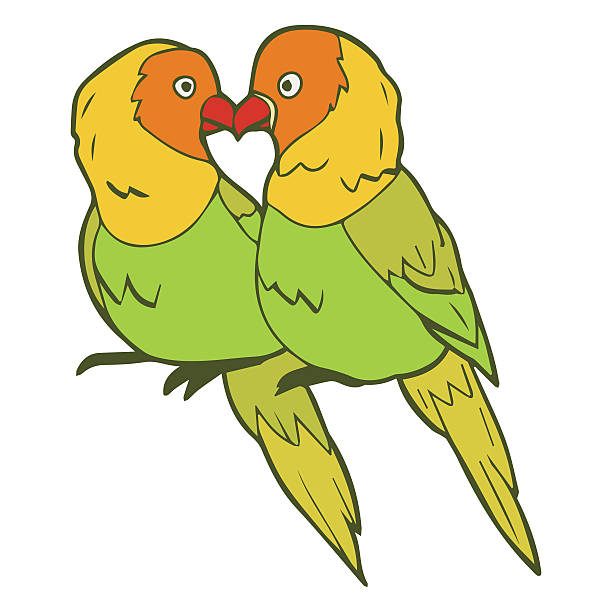 иллюстрация lovebirds пара - parrot multi colored bird perching stock illustrations