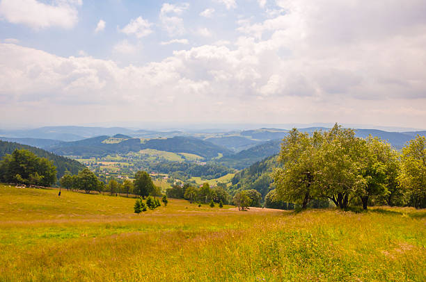 istock Landscape Sudetenland 535720895