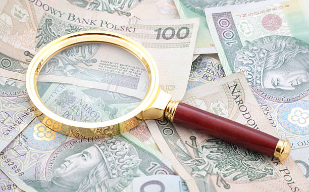 istock Polish money with golden magnifying glass 535721231