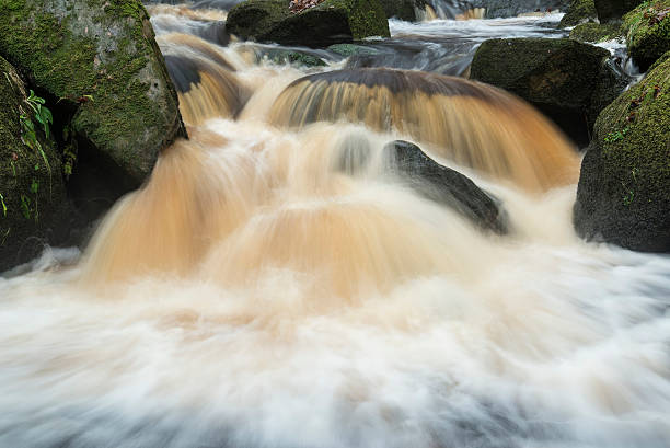 istock Autumn Fall forest landscape stream flowing through golden vibra 535722877