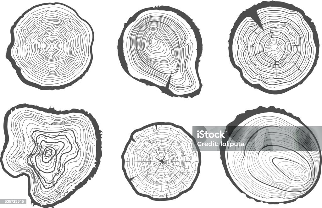 Collection d'arbre-rings. Images vectorielles. - clipart vectoriel de Arbre libre de droits