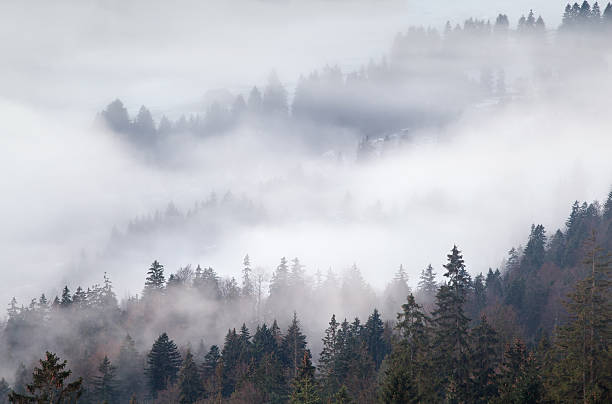 istock dense fog in mountains, Alps 535723685