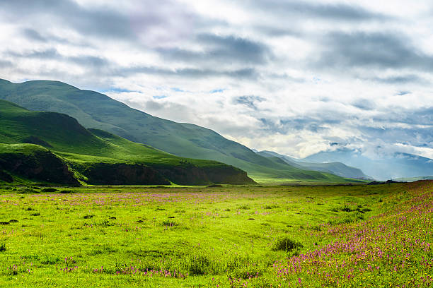 istock skyline,hill and meadow in tibet 535725049