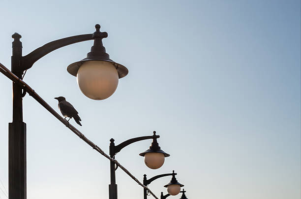 street lamp stock photo