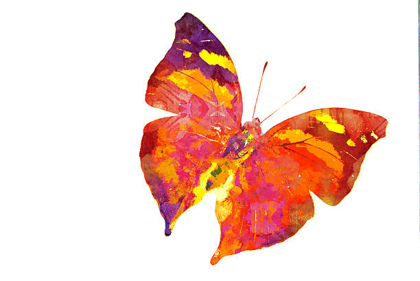 Butterfly Watercolor 4 stock photo