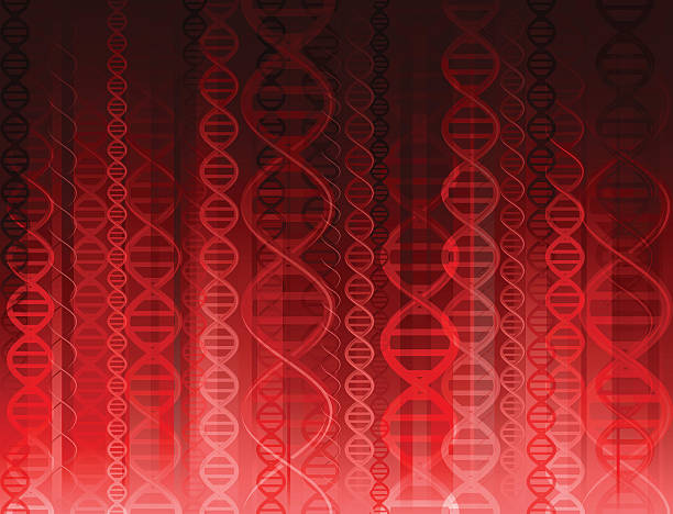 ilustrações, clipart, desenhos animados e ícones de dna fundo vermelho - dna helix spiral color image