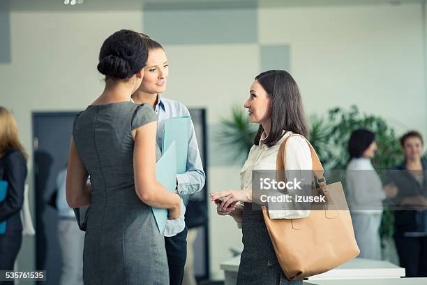 Three Businesswomen Talking In An Office Stock Photo - Download Image Now - 2015, Adult, Adults Only