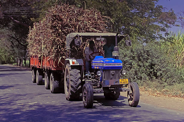 Satara, Maharashtra , India - February 19, 2012: Tractor loaded with bundles of sugarcanes , Satara, Maharashtra , India