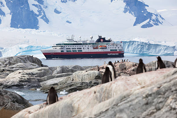 Antarctic Peninsula cruise ship Hurtigruten Half Moon Island, Antarctica - January, 17th 2013: Cruise ship "Fram" Hurtigruten navigating near Half Moon Island observed by a colony of Gentoo penguins cruise ship photos stock pictures, royalty-free photos & images