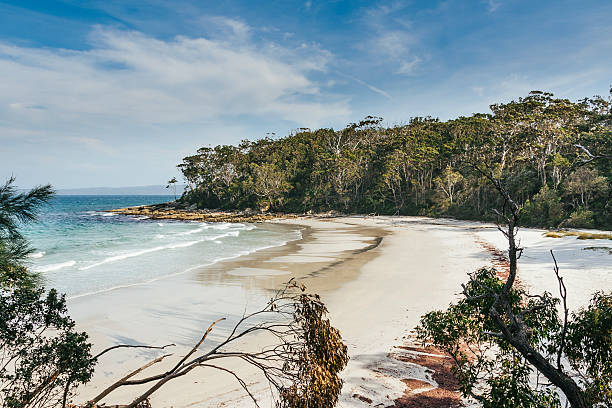istock Jervis Bay white sand beach in New South Wales 535761995