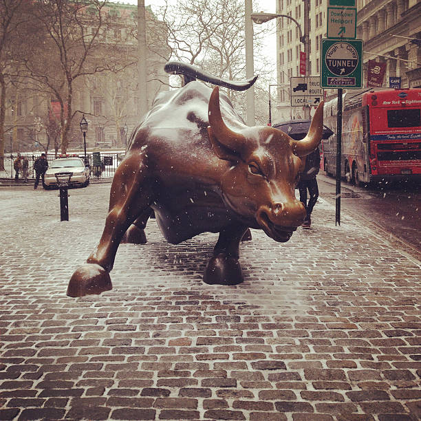 New York, New York, USA - January 26, 2015: Charging Bull of Wall Street Statue located on Broadway, Downtown New York City. Image taken with mobile phone.