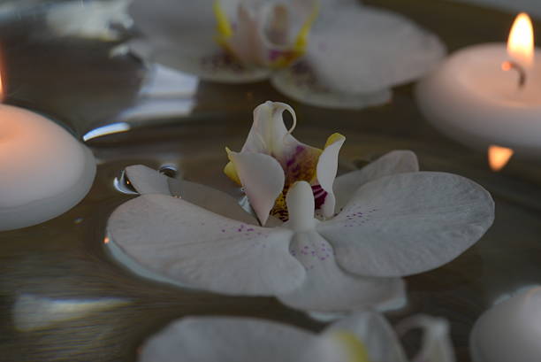 istock Close up of floating orchid and candles 535763151