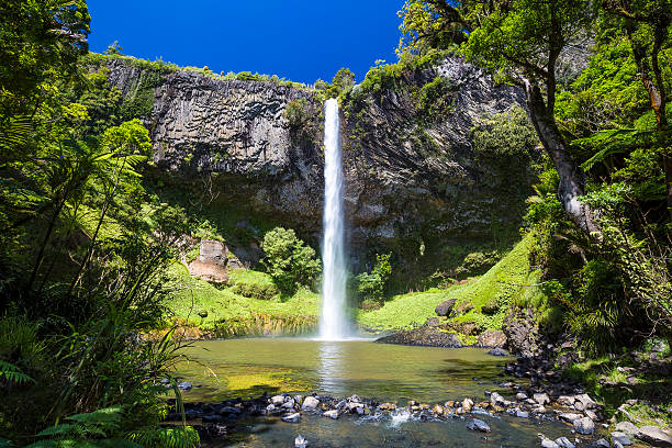 Bridal Veil Falls Bridal Veil Falls / New Zealand tongariro national park photos stock pictures, royalty-free photos & images