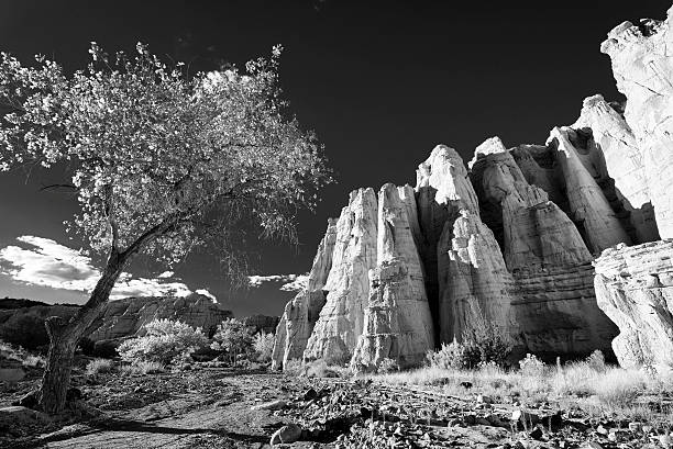 «белые место " - new mexico фотографии стоковые фото и изображения