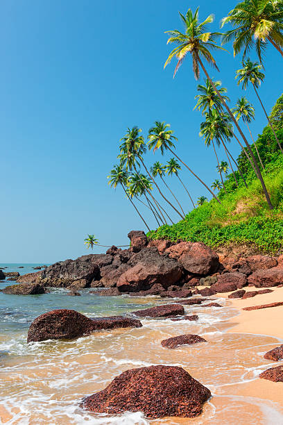 vertikale foto von schönen strand in den tropen - goa stock-fotos und bilder